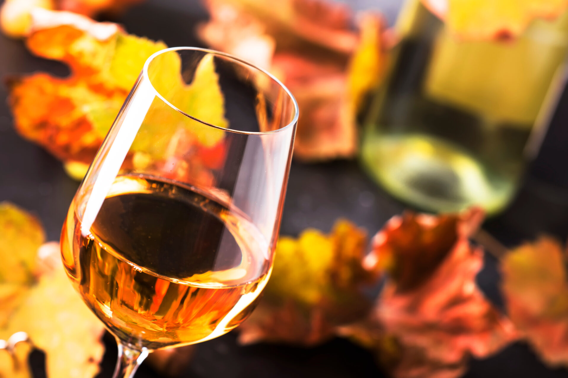 White Wine Glass And Wine Bottle with fall leaves int background